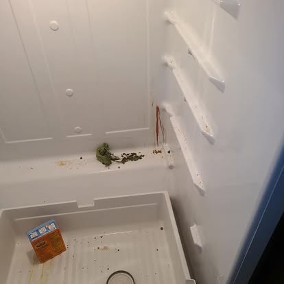 Refrigerator deep clean before