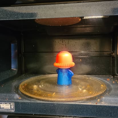 Microwave detail before
